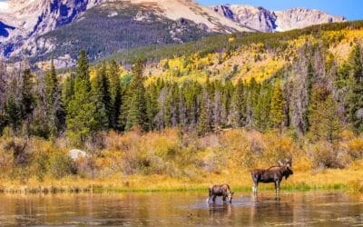 Branch Out of Your Fall Foliage Routine with These Alternative Leaf-Peeping Ideas