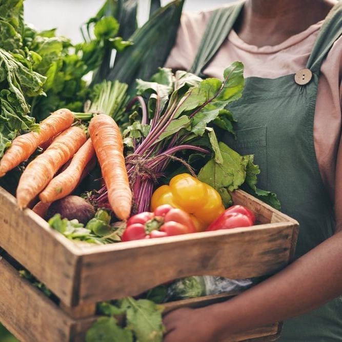 Person,,Vegetables,Box,And,Agriculture,,Sustainability,Or,Farming,For,Supply Denver PR Company Meeting